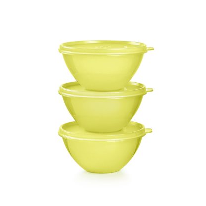 Tupper Ware Small Wonderlier® Bowls